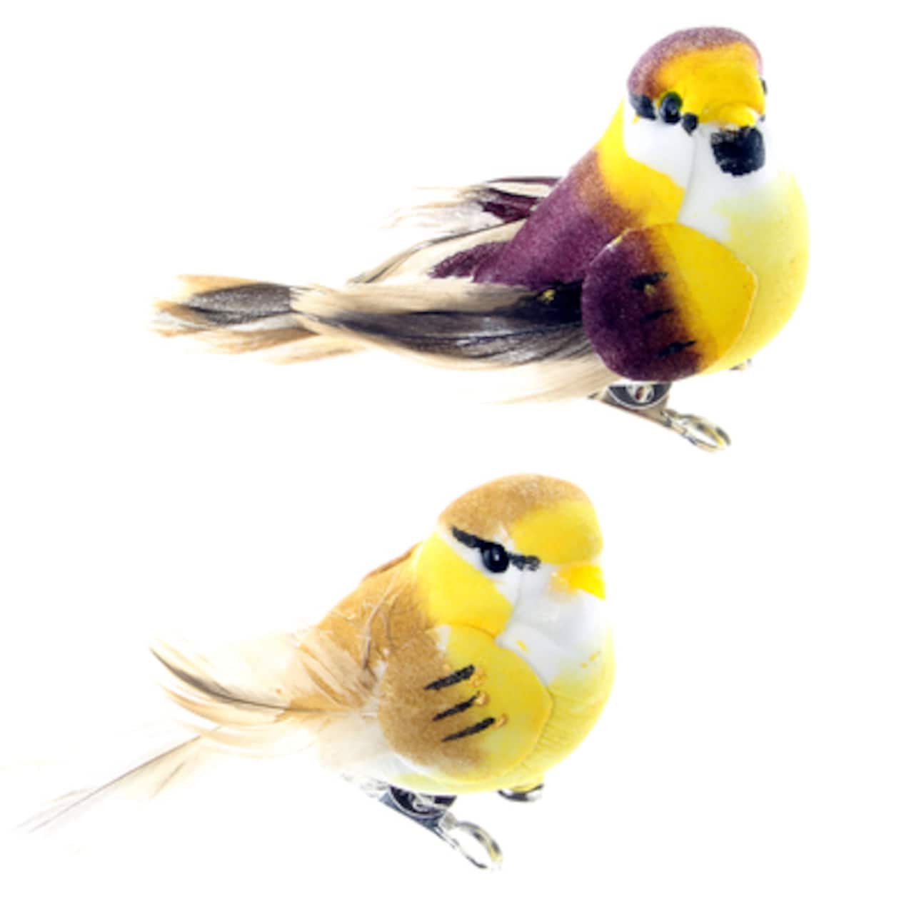 Mushroom Birds by Ashland™